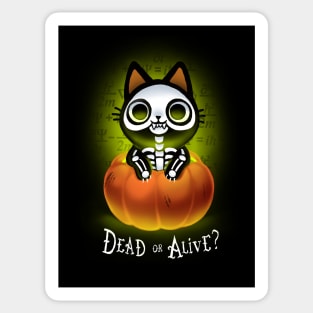 Schrödinger's Cat Nightmare - Funny Halloween Pumpkin - Dead and Alive Sticker